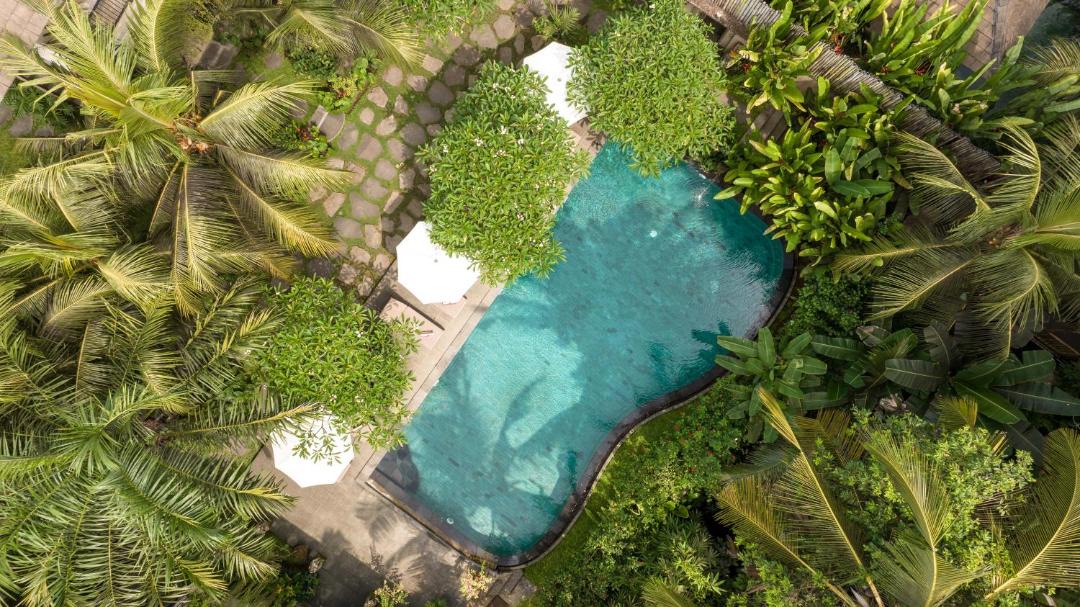 Photo of Others in Ubud