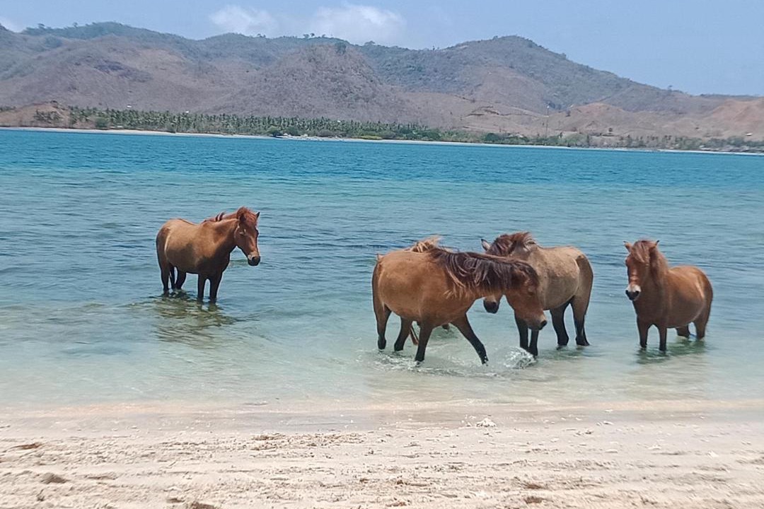 Photo of Others in Gili Gede
