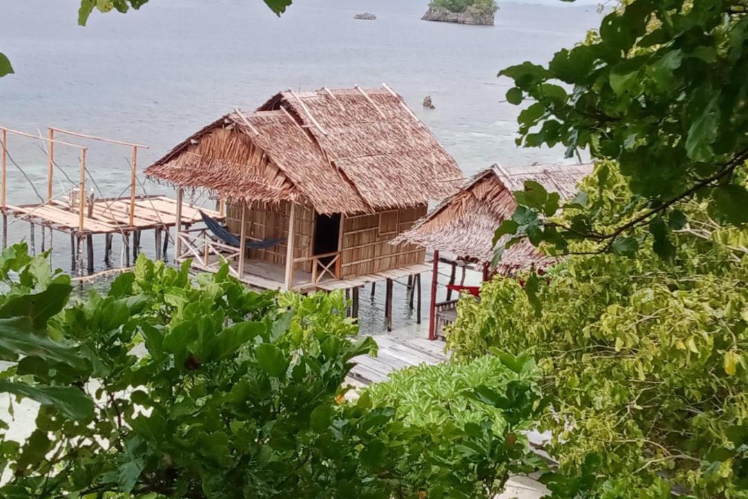 Photo of Others in Pianemo Islands
