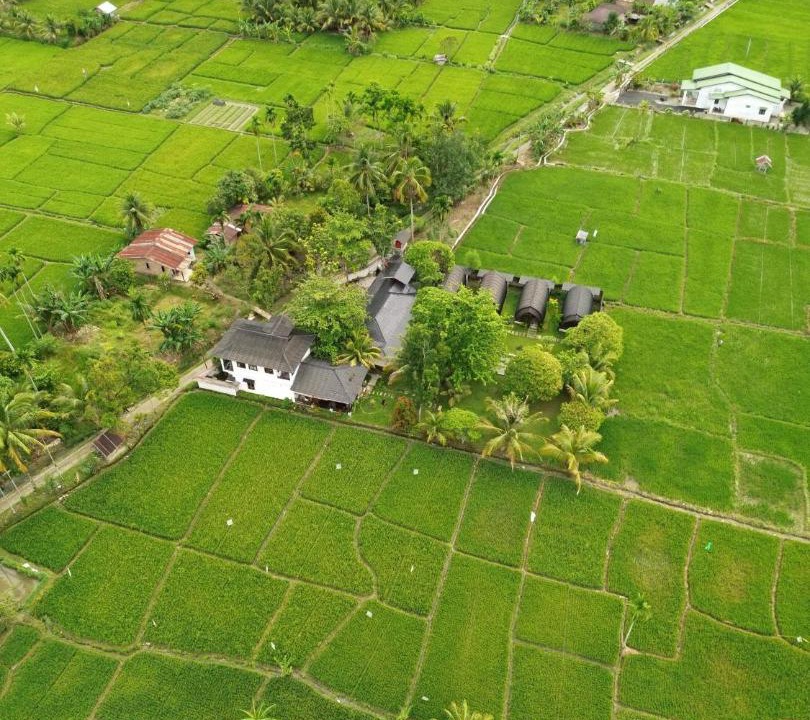 Photo of Others in Bohorok