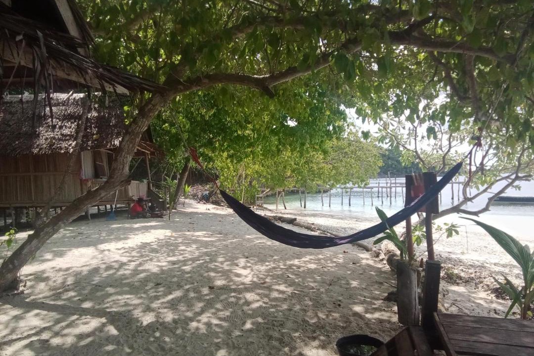 Photo of Others in Pianemo Islands