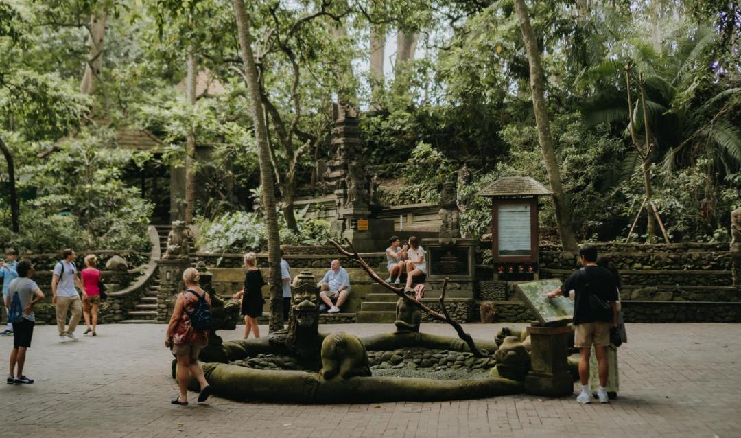 Photo of Others in Ubud