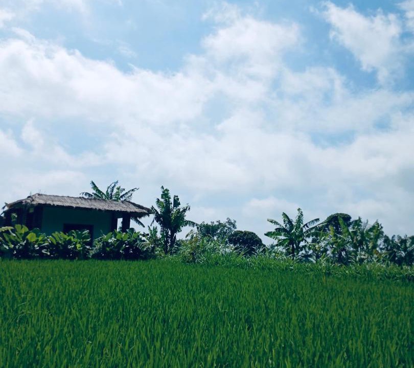 Photo of Others in Kecamatan Pringgasela
