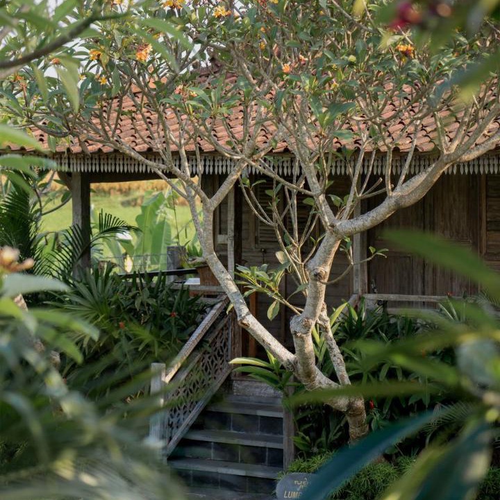 Photo of Others in Lodtunduh