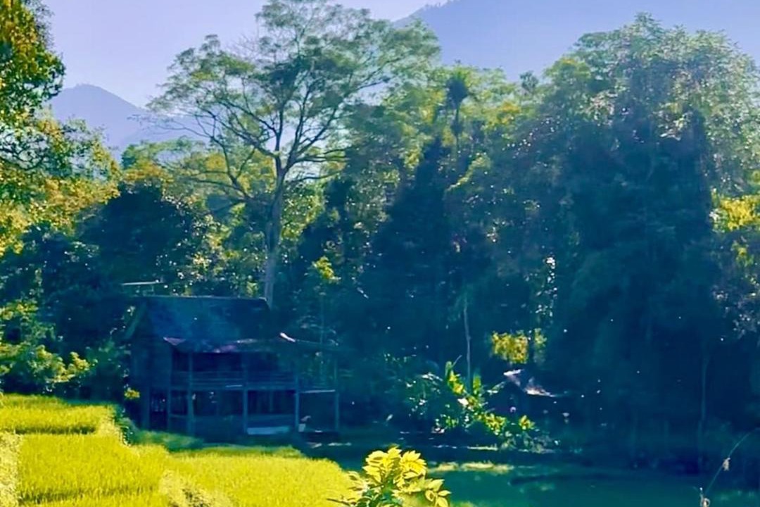 Photo of Others in Pupuan