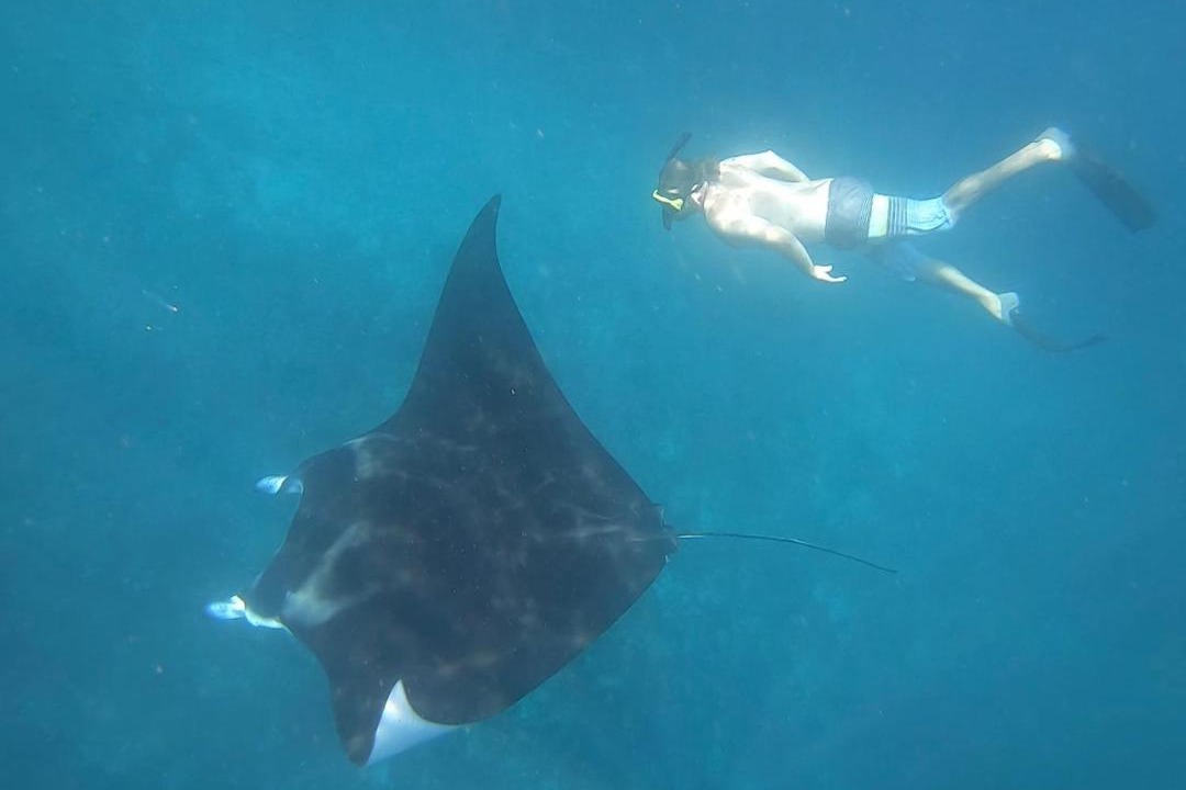 Photo of Others in Komodo