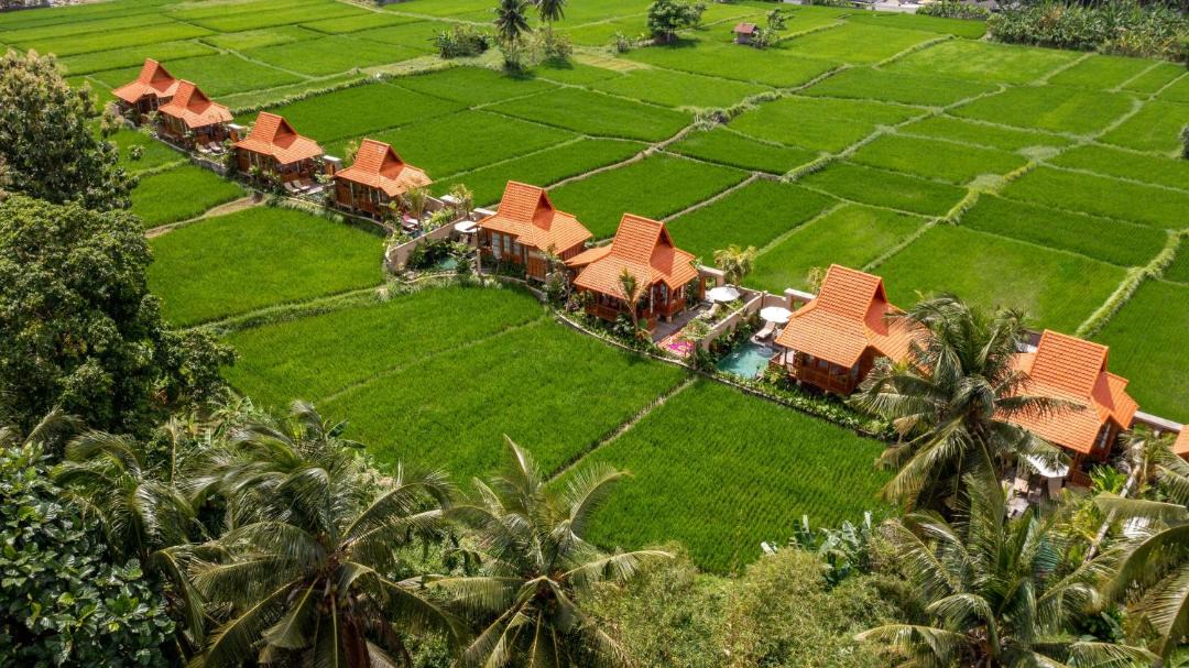 Photo of Others in Ubud