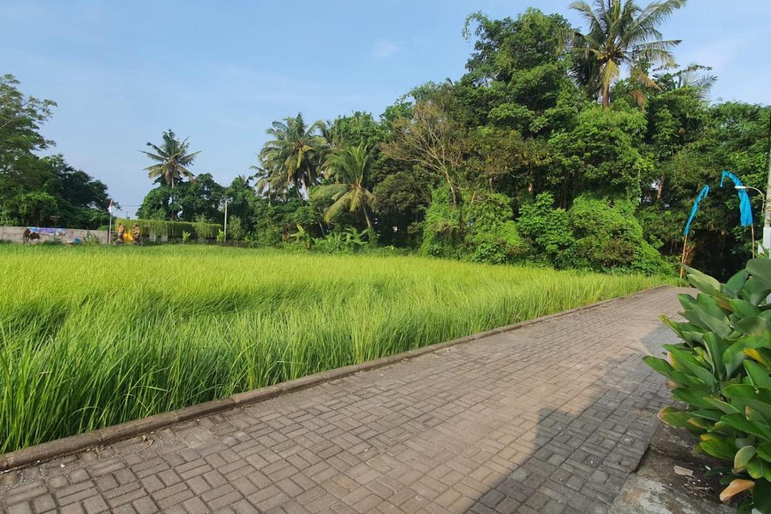Photo of Others in Lodtunduh