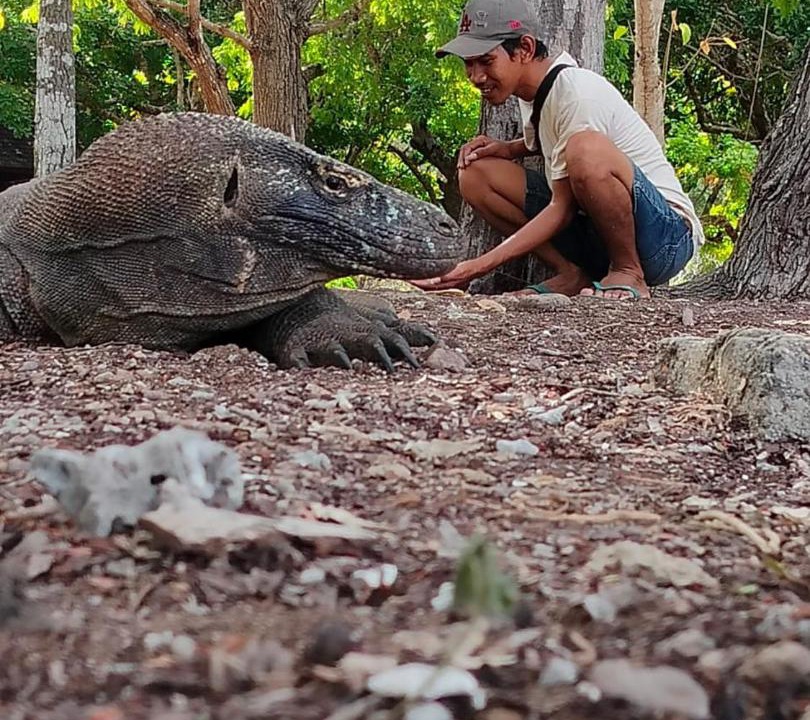 Photo of Others in Komodo