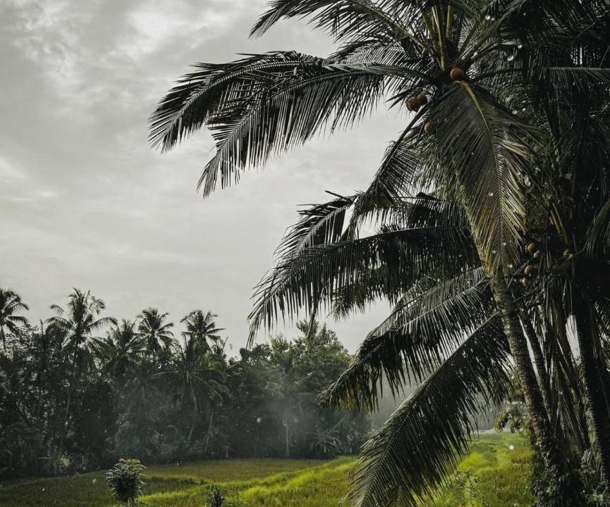 Photo of Others in Ubud City-Centre