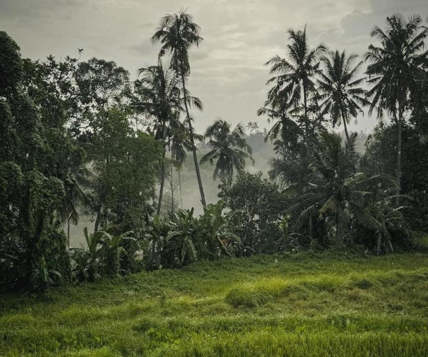 Photo of Others in Ubud City-Centre