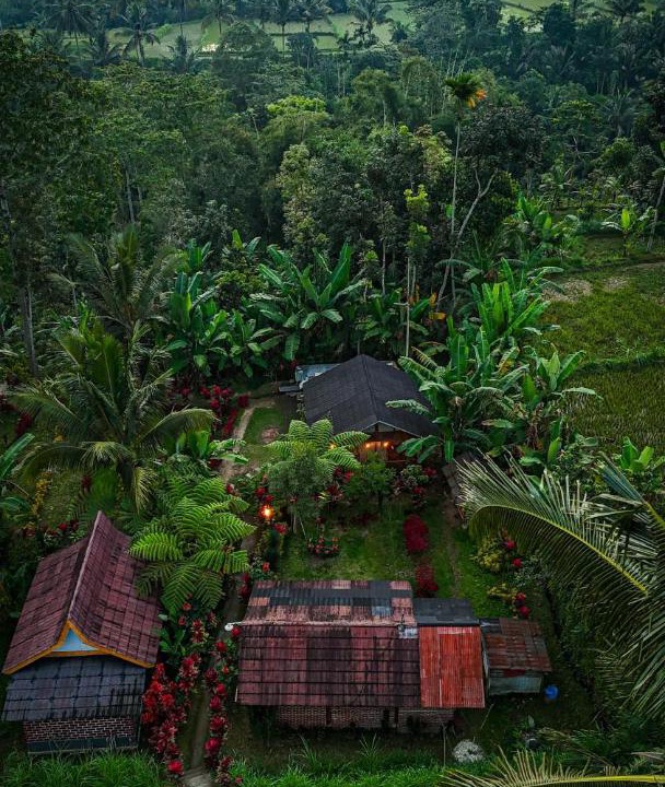 Photo of Others in Tetebatu