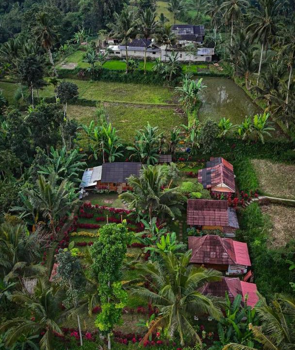 Photo of Others in Tetebatu
