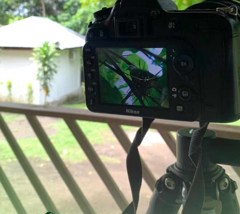 Photo of Others in Bitung