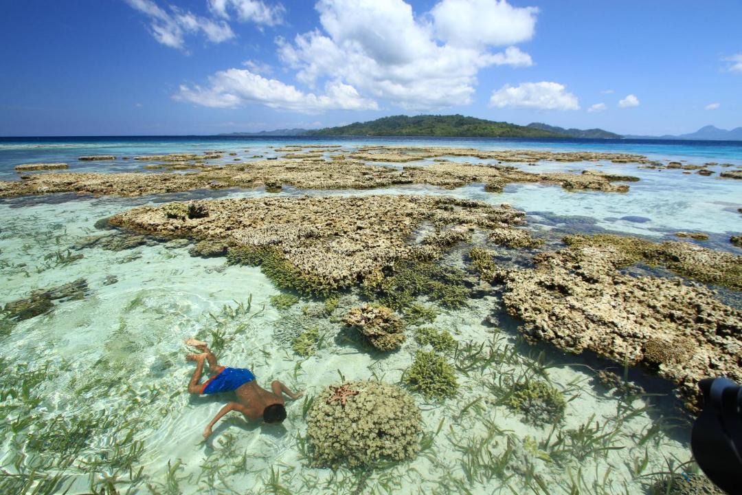 Photo of Others in Batudaka Island