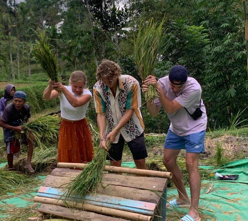 Photo of Others in Tetebatu