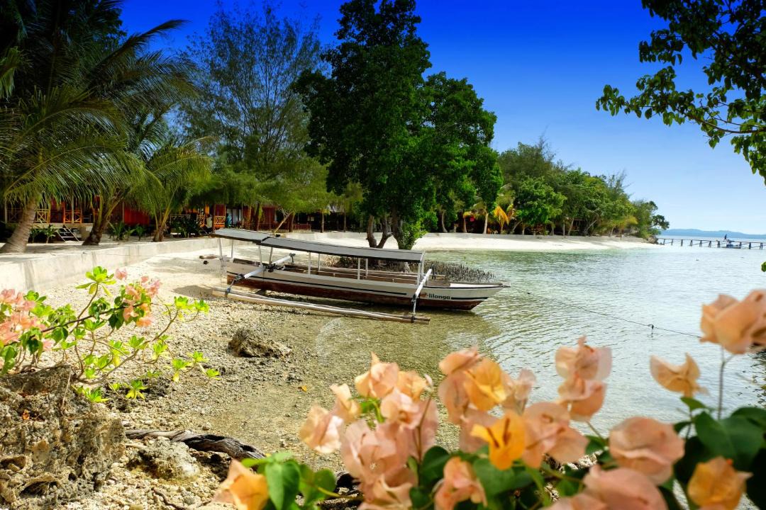 Photo of Others in Batudaka Island