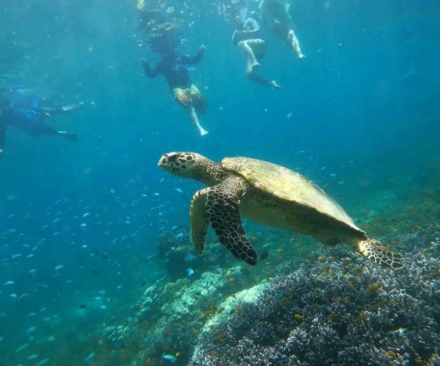 Photo of Others in Gili Gede