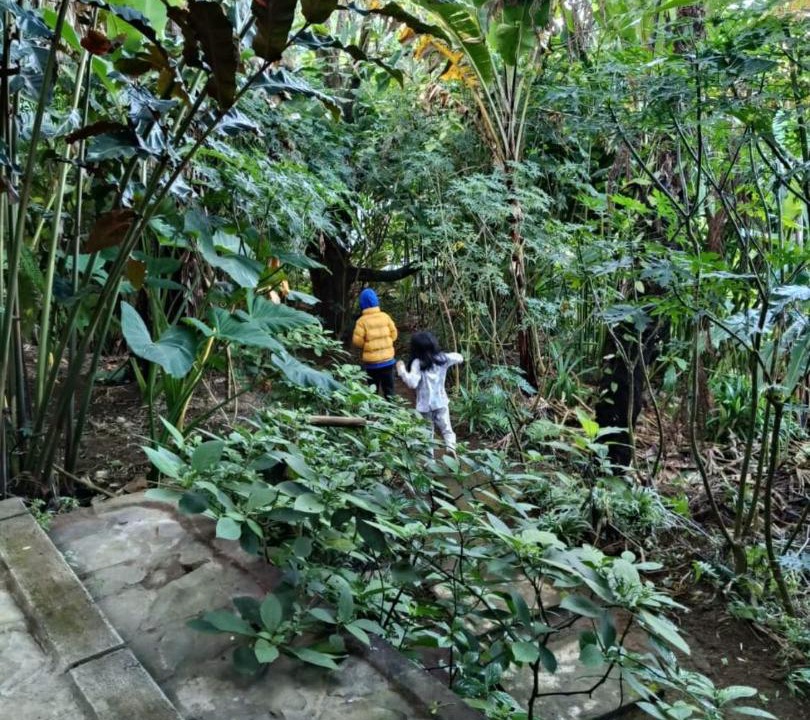 Photo of Others in Kubutambahan