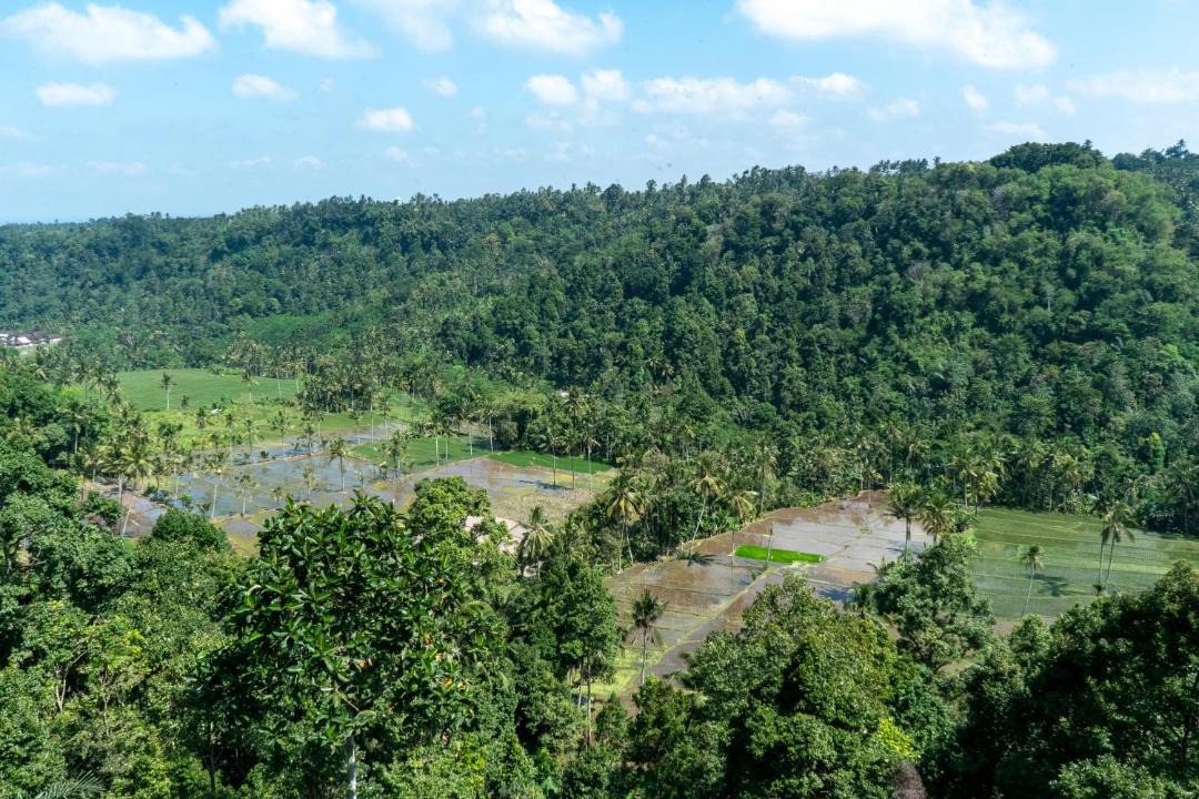 Photo of Others in Banyuwangi