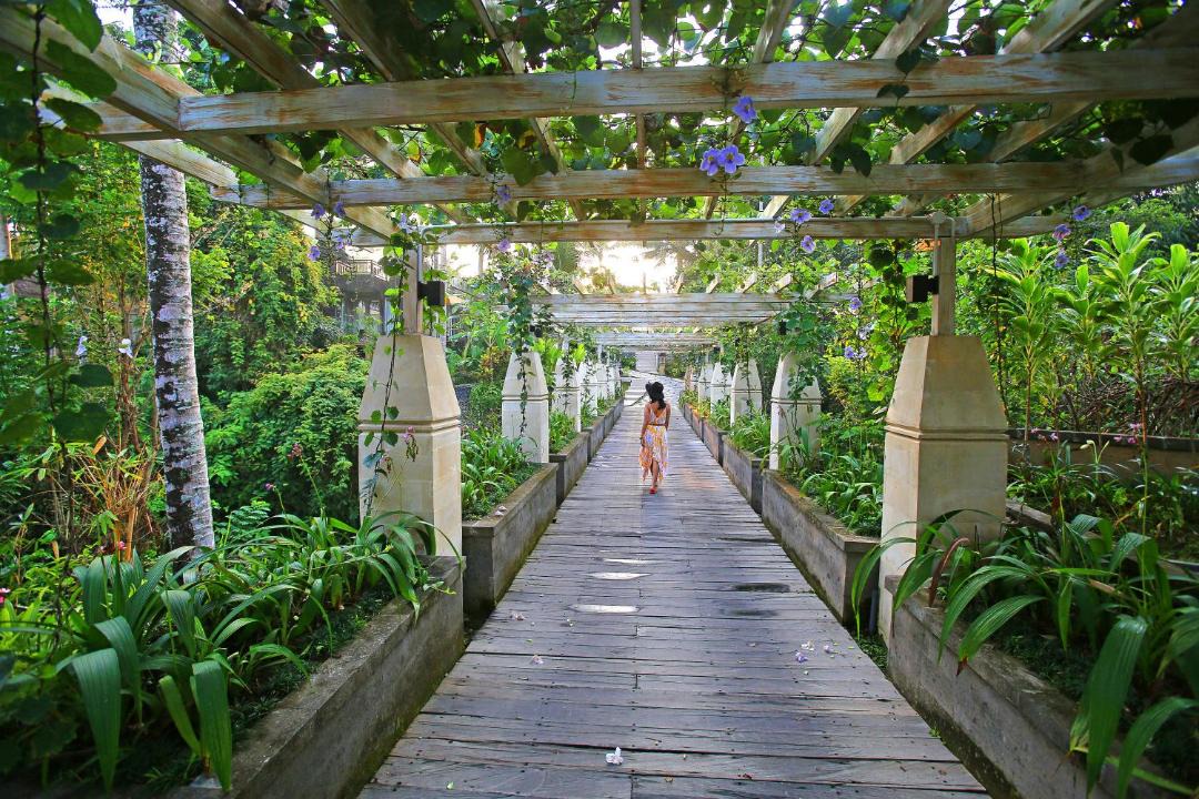 Photo of Others in Ubud