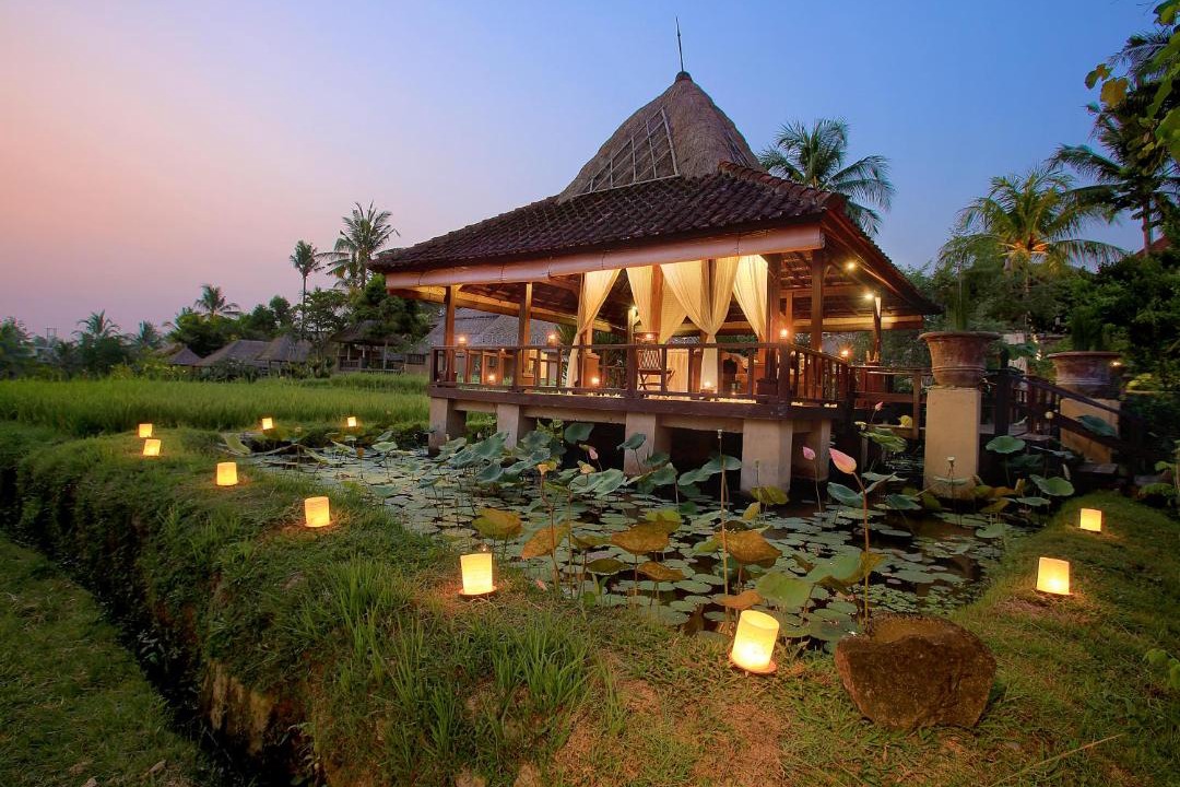 Photo of Others in Ubud