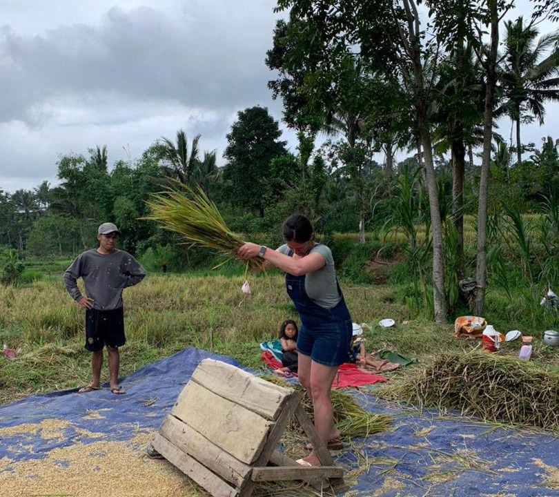 Photo of Others in Tetebatu