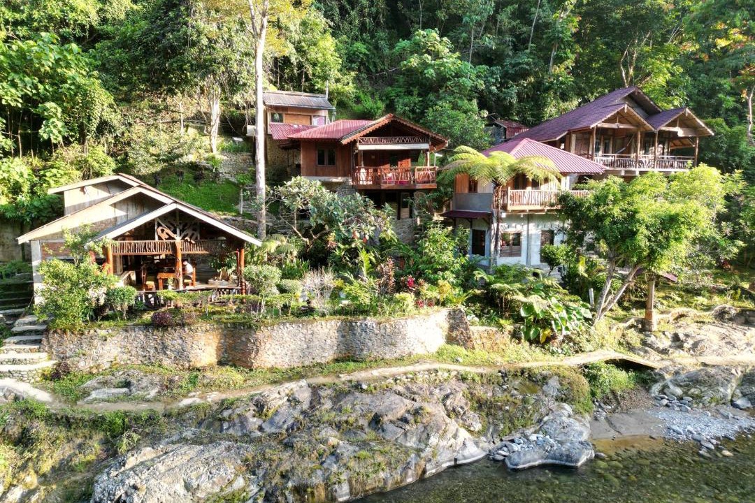 Photo of Others in Bukit Lawang