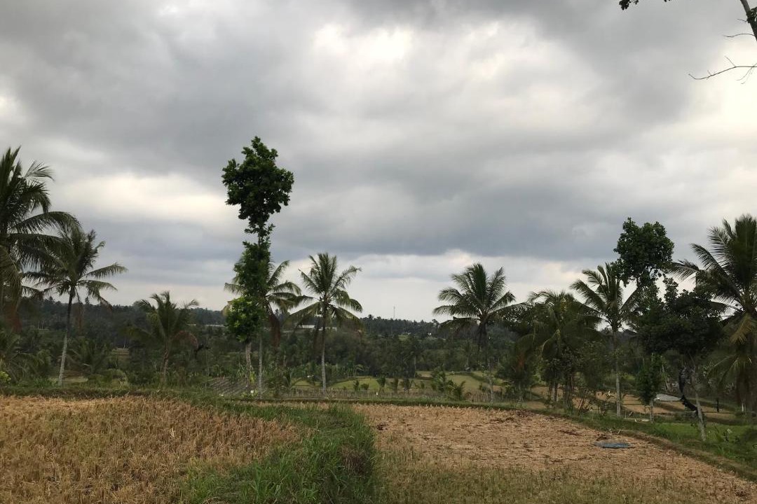 Photo of Others in Kecamatan Montong Gading