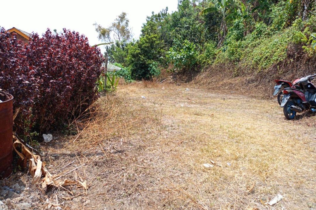 Photo of Others in South Ogan Komering Ulu