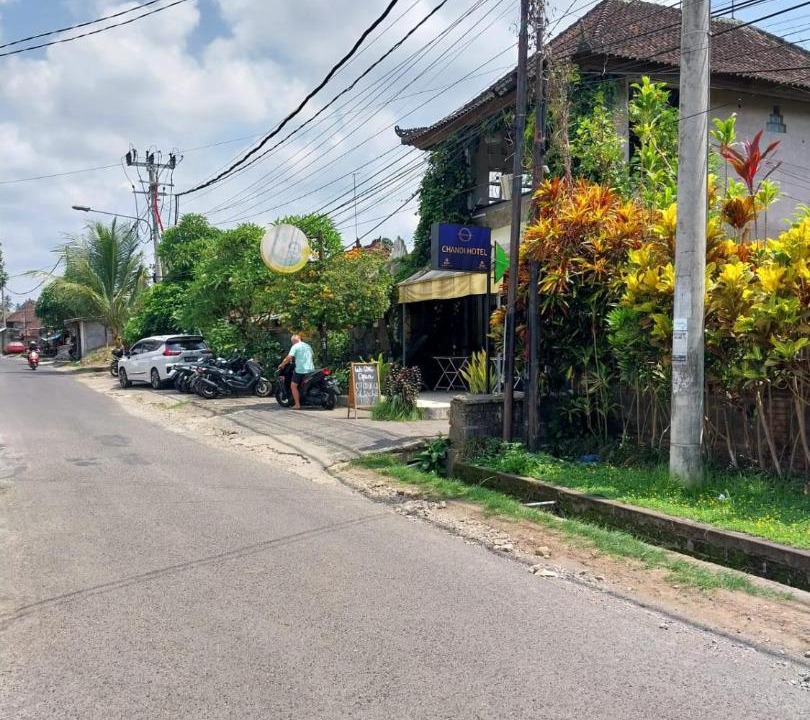 Photo of Others in Ubud