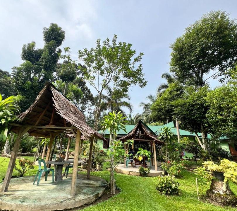 Photo of Others in Bohorok