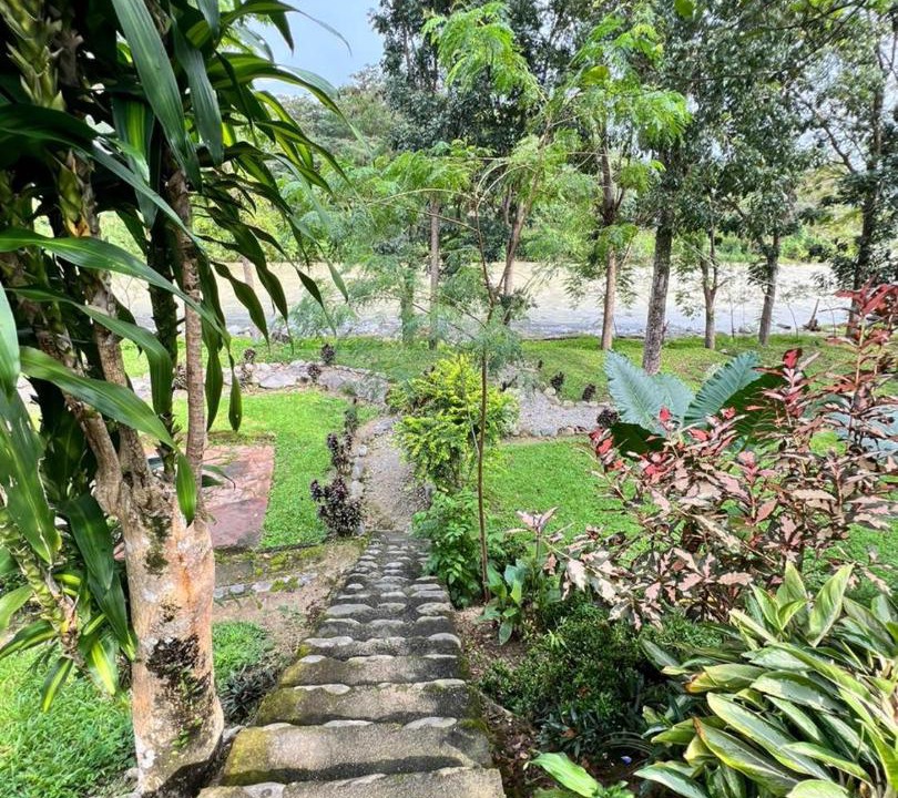 Photo of Others in Bohorok