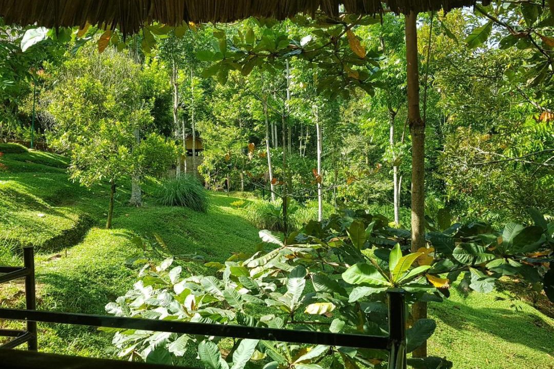 Photo of Others in Bukit Lawang