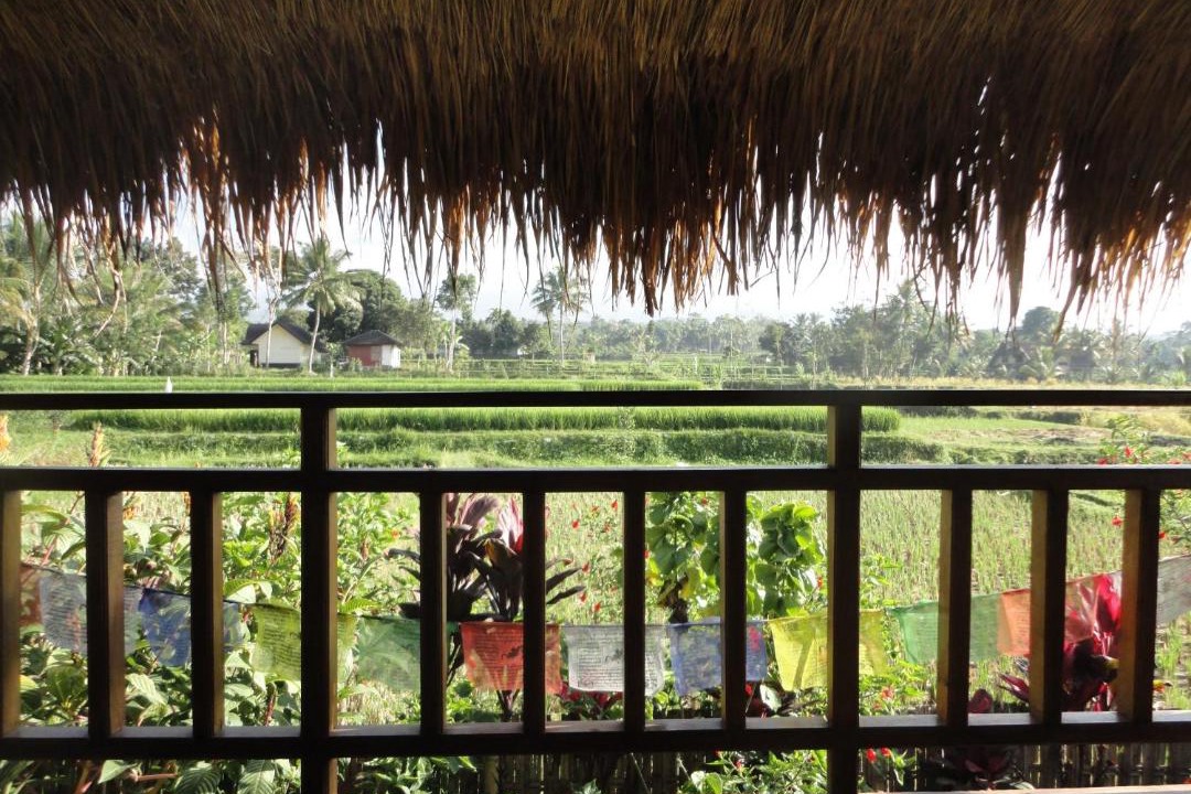 Photo of Others in Tetebatu