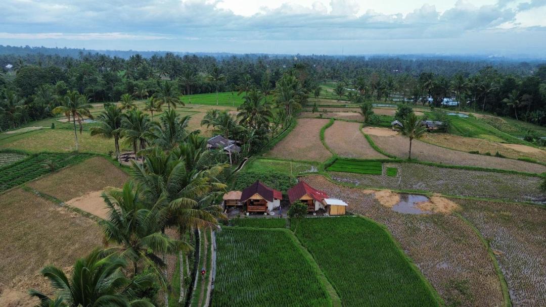 Photo of Others in Tetebatu