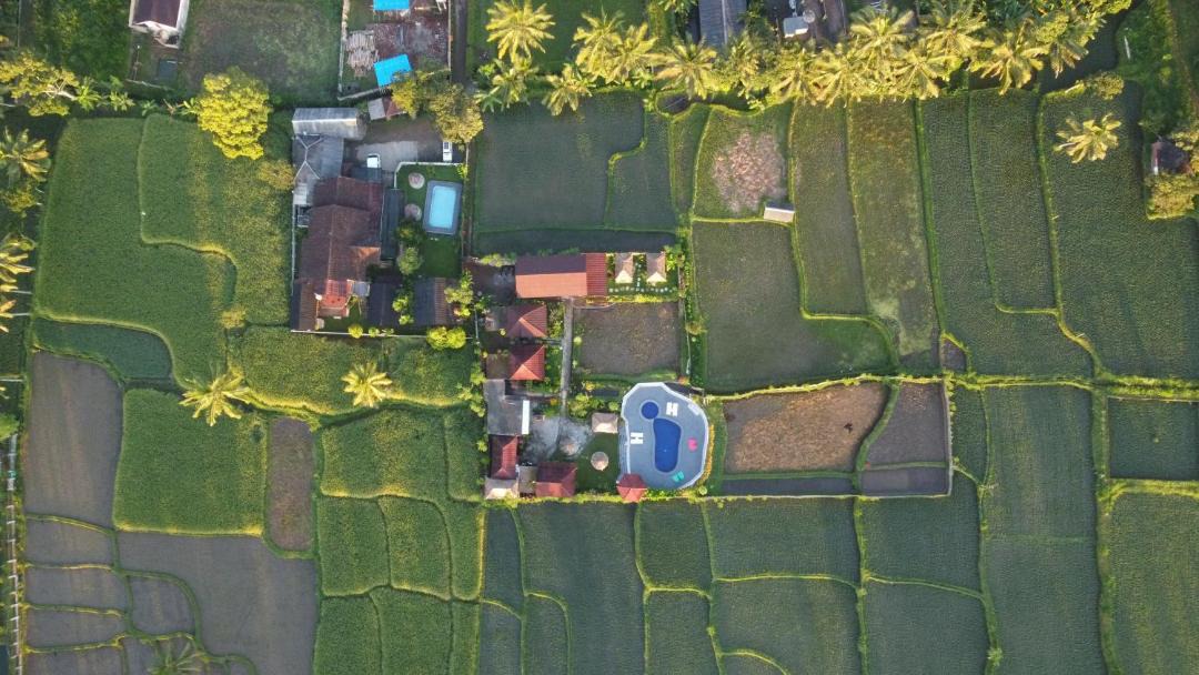 Photo of Others in Tetebatu