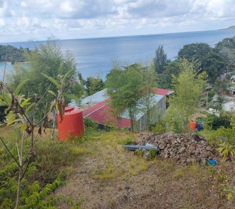 Photo of Others in Iboih