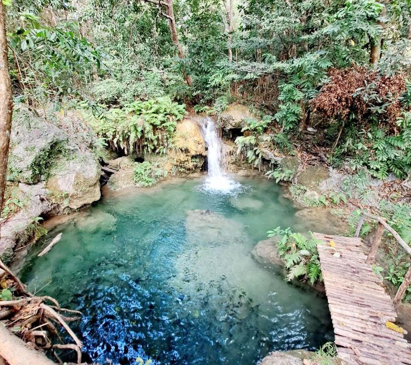 Photo of Others in Waingapu