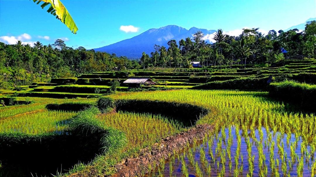 Photo of Others in Tetebatu