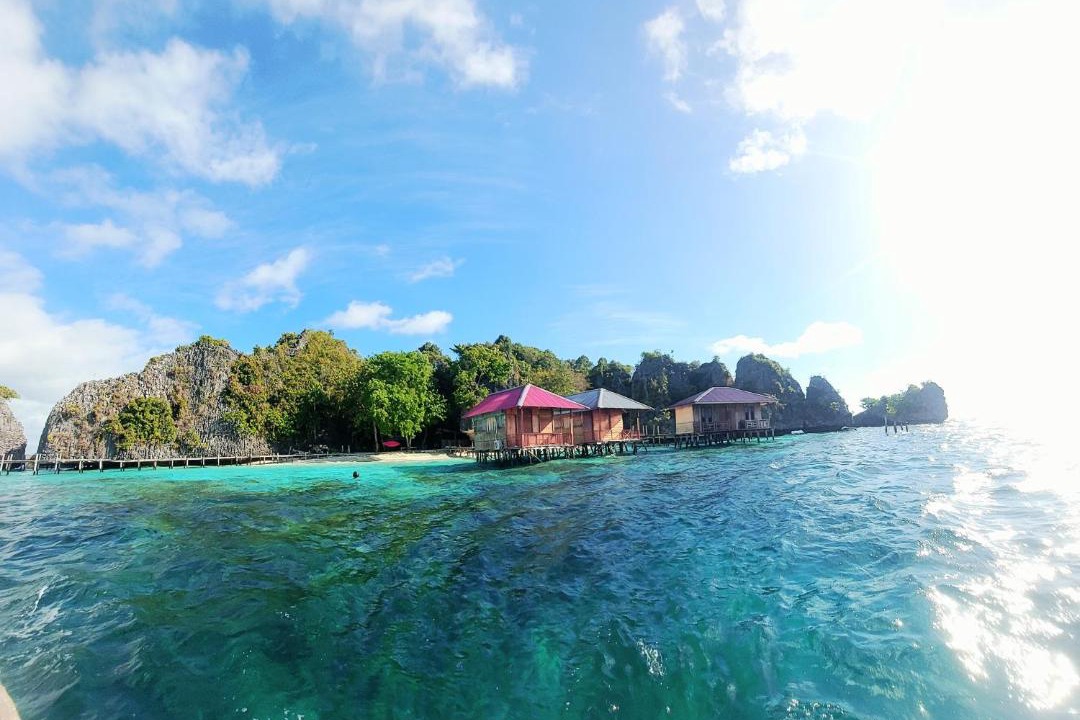 Photo of Others in Raja Ampat