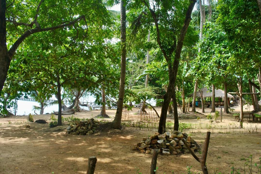Photo of Others in Karimunjava