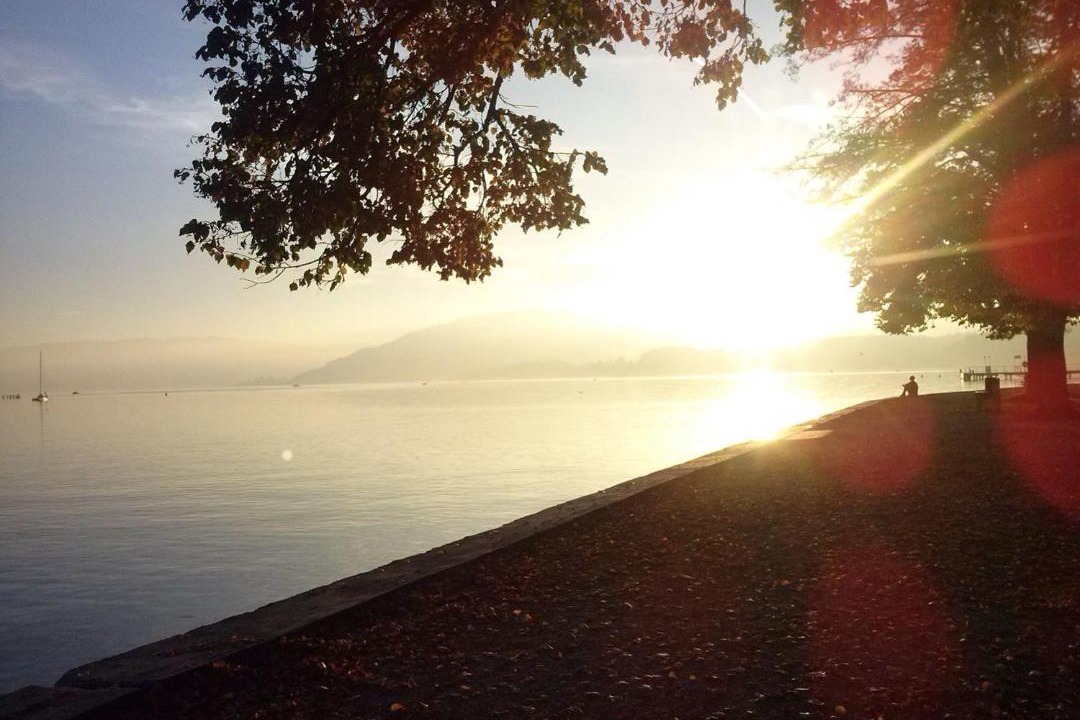 Photo of Others in Seewalchen am Attersee