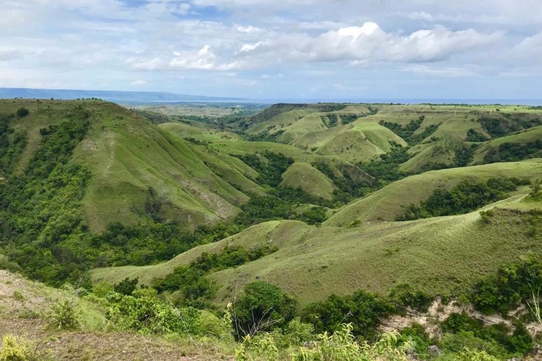Photo of Others in Waingapu
