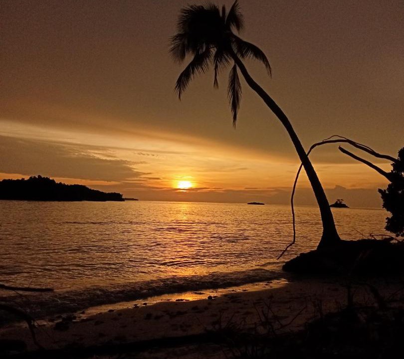 Photo of Others in Raja Ampat