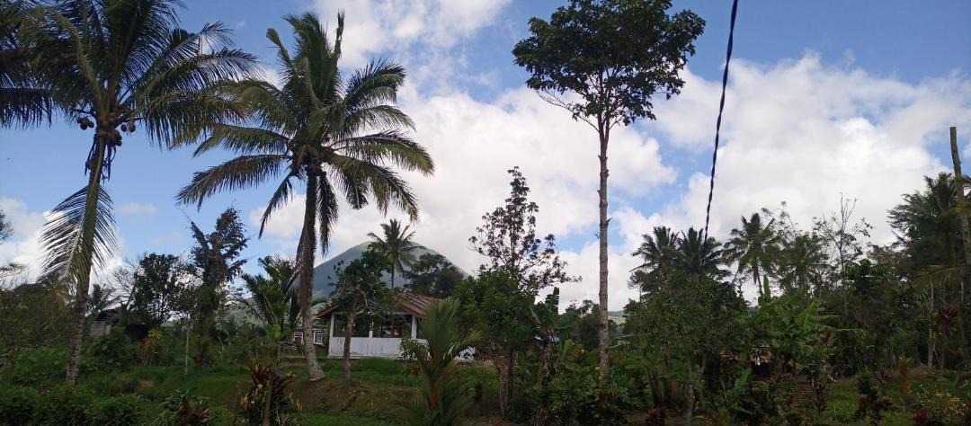 Photo of Others in Tomohon