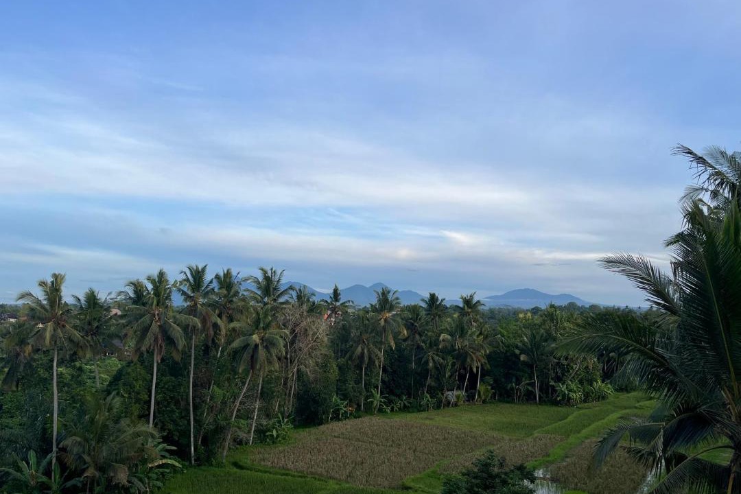 Photo of Others in Ubud City-Centre
