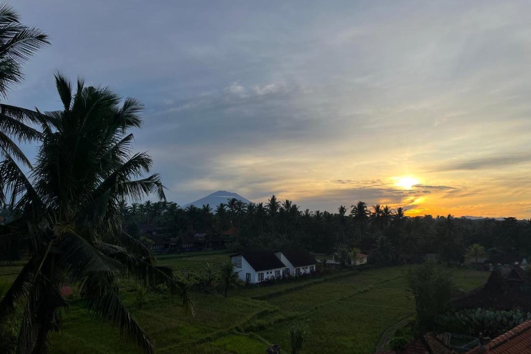 Photo of Others in Ubud City-Centre