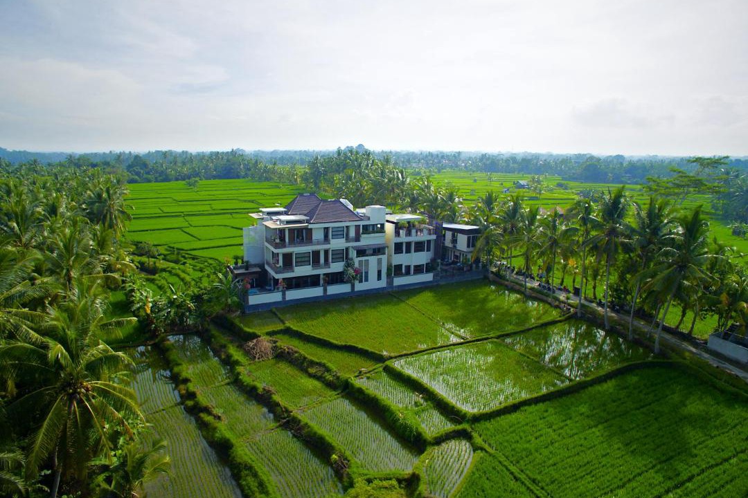 Photo of Others in Ubud