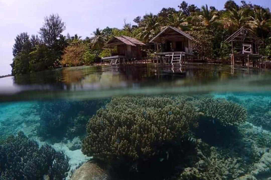 Photo of Others in Raja Ampat